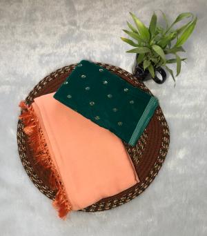 Classic Plain Saree with Embellished Blouse